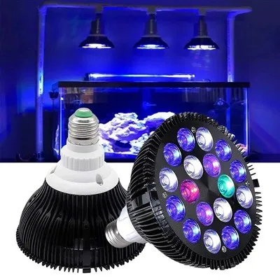 मछली की टंकी रोशनी बढ़ती है